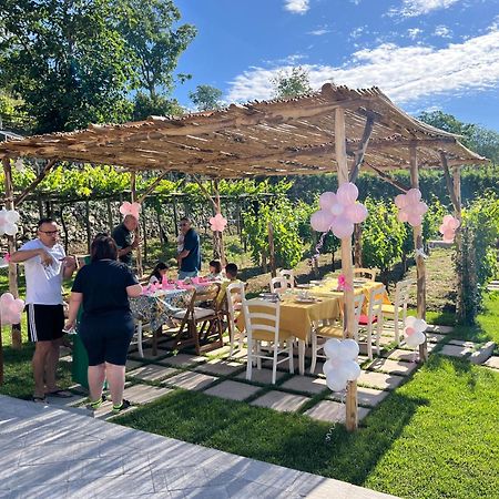 Il Vigneto Di Nonno Pietro Bed and Breakfast Agerola Εξωτερικό φωτογραφία