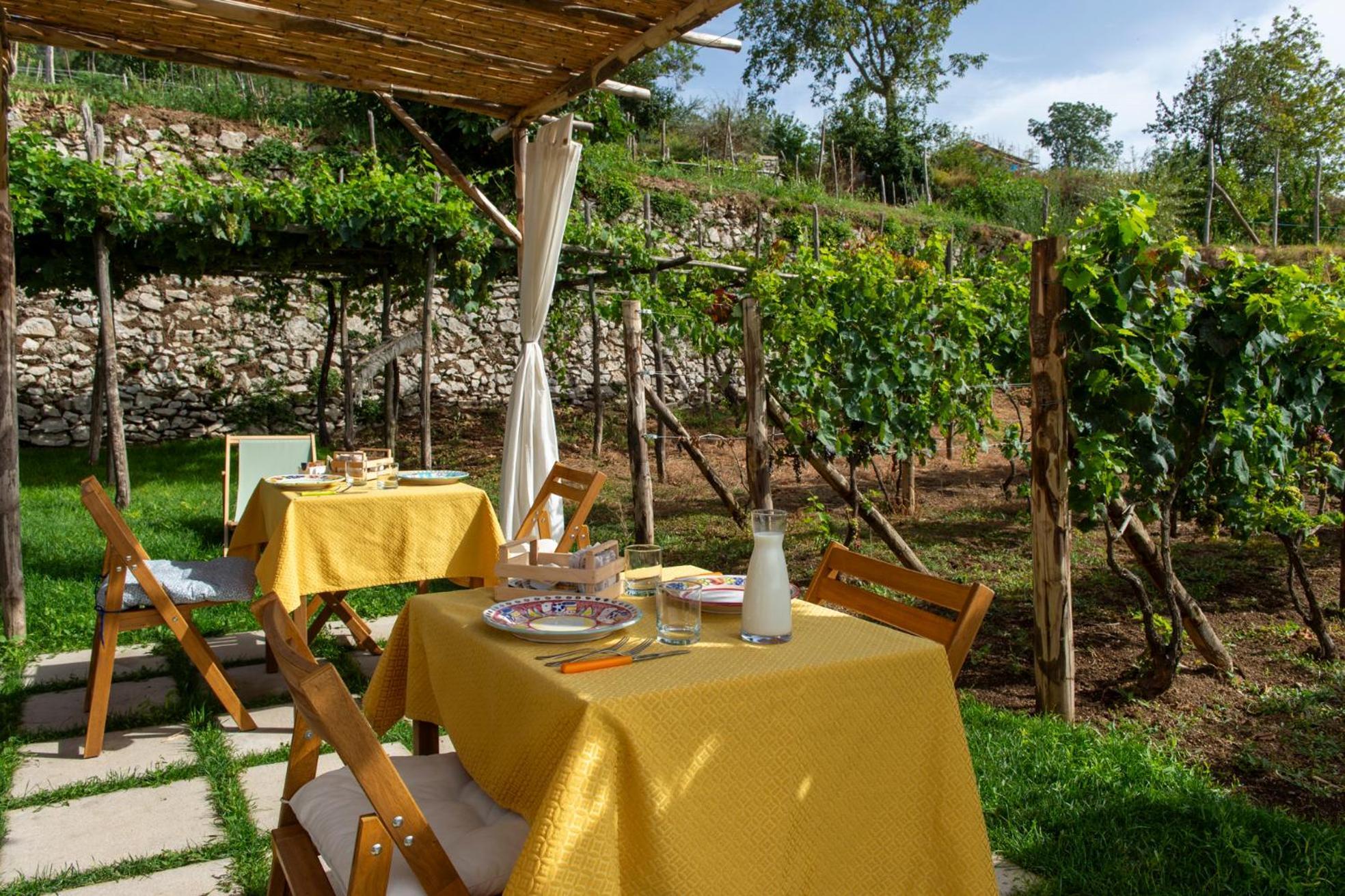 Il Vigneto Di Nonno Pietro Bed and Breakfast Agerola Εξωτερικό φωτογραφία