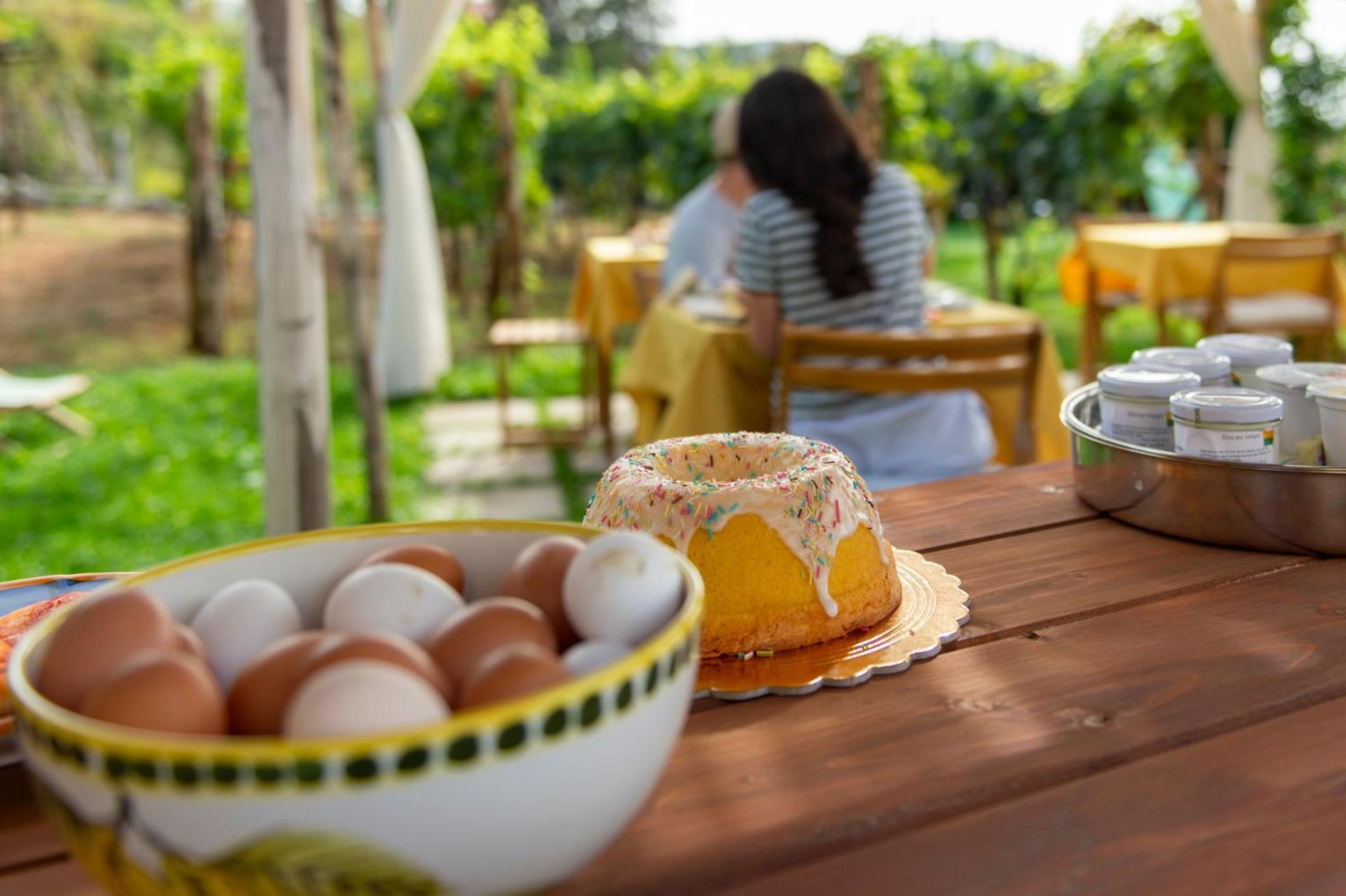 Il Vigneto Di Nonno Pietro Bed and Breakfast Agerola Εξωτερικό φωτογραφία