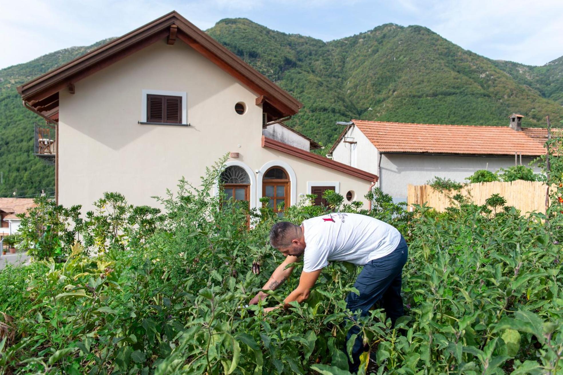Il Vigneto Di Nonno Pietro Bed and Breakfast Agerola Εξωτερικό φωτογραφία