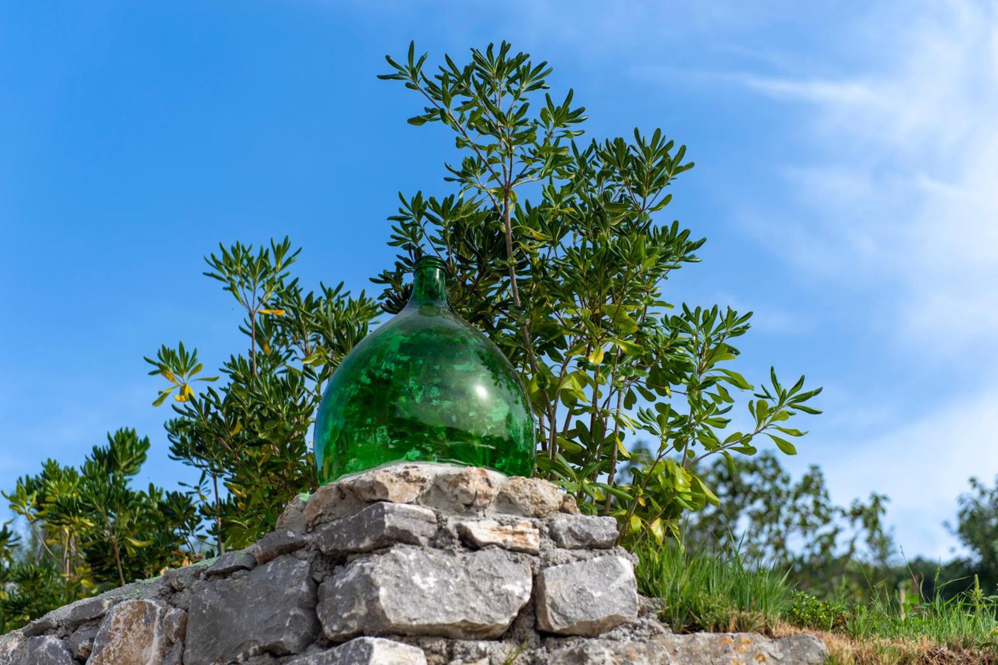 Il Vigneto Di Nonno Pietro Bed and Breakfast Agerola Εξωτερικό φωτογραφία