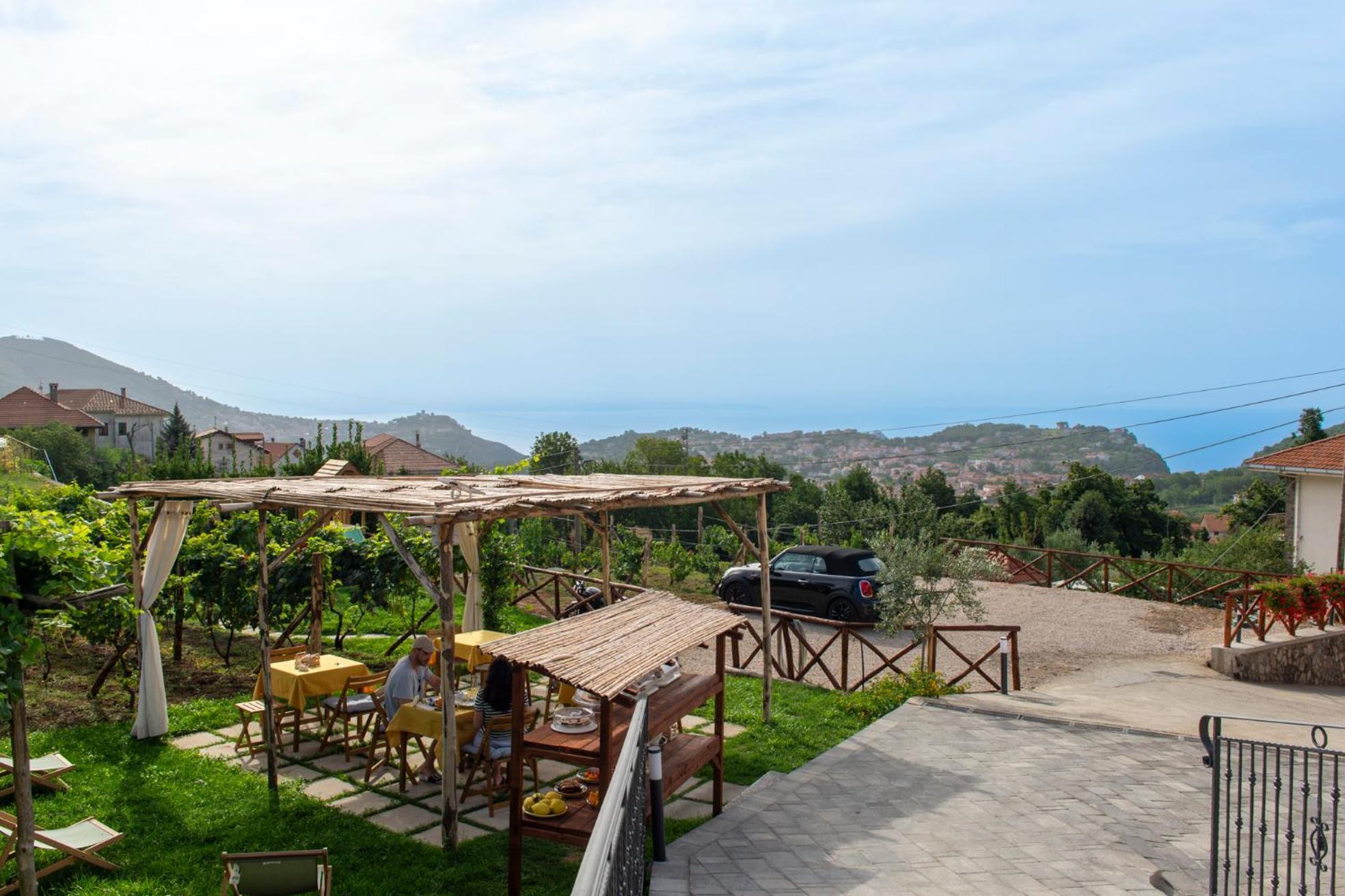 Il Vigneto Di Nonno Pietro Bed and Breakfast Agerola Εξωτερικό φωτογραφία