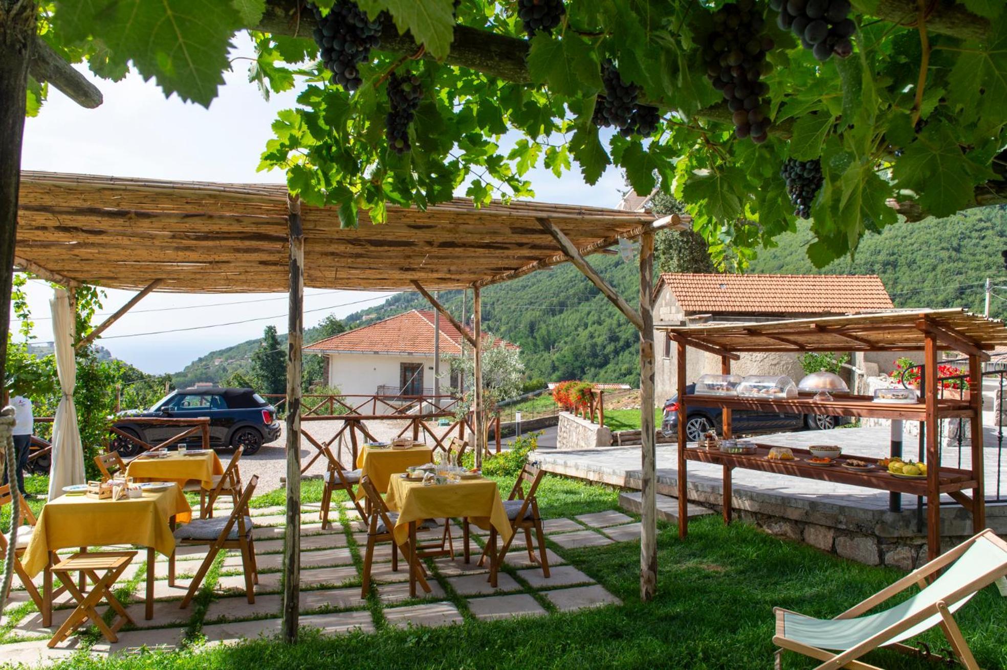 Il Vigneto Di Nonno Pietro Bed and Breakfast Agerola Εξωτερικό φωτογραφία