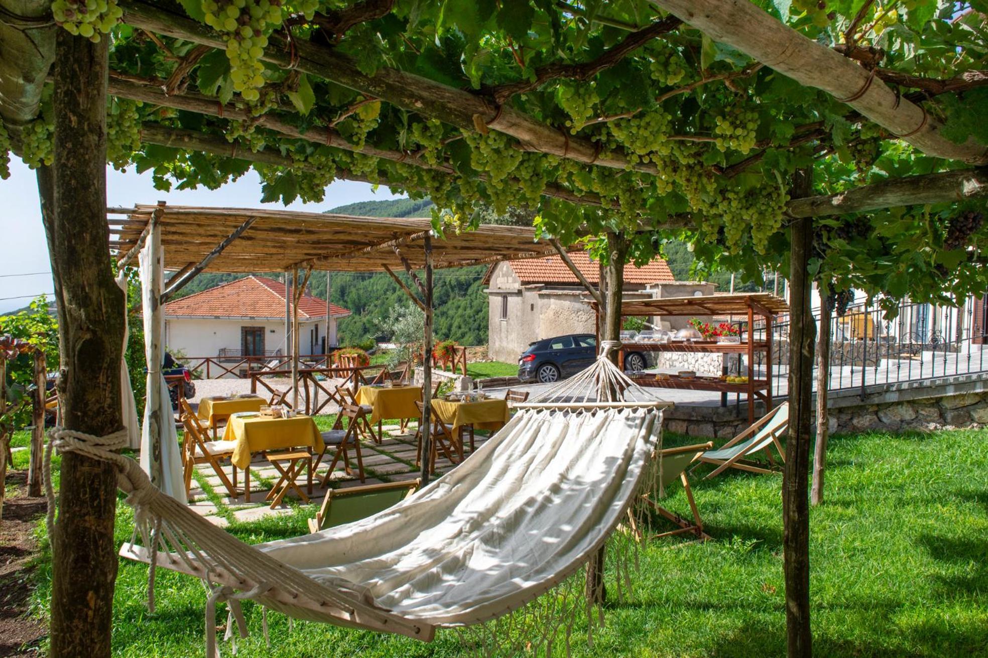 Il Vigneto Di Nonno Pietro Bed and Breakfast Agerola Εξωτερικό φωτογραφία
