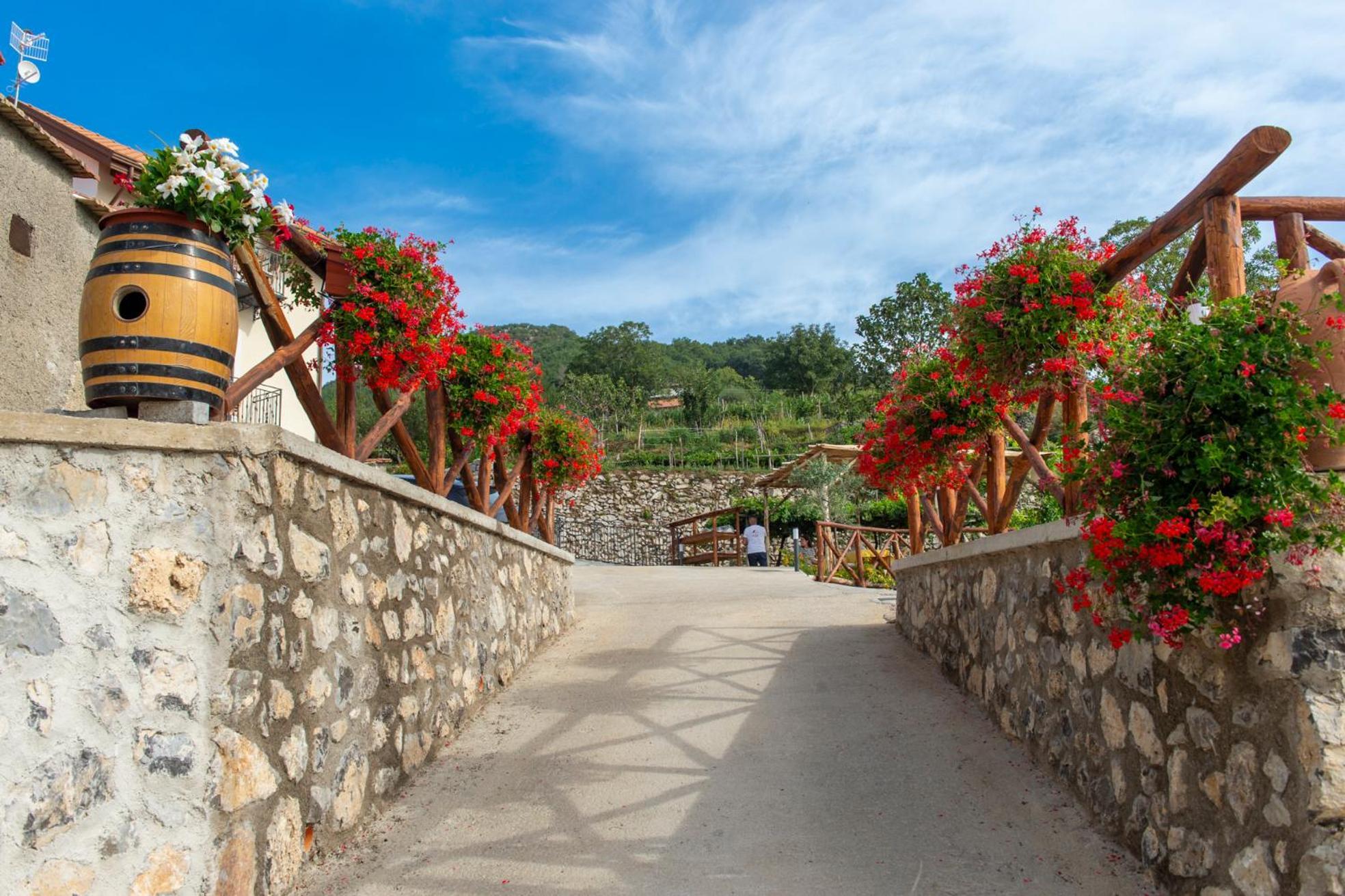 Il Vigneto Di Nonno Pietro Bed and Breakfast Agerola Εξωτερικό φωτογραφία